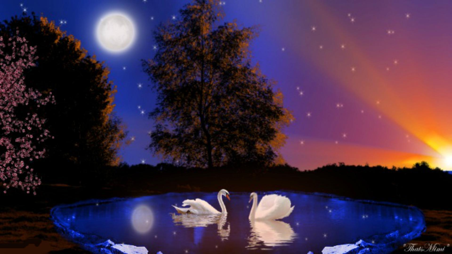 Мерцающие картинки ночь. Прекрасной весенней ночи. Лето ночь Луна. Лунная Весенняя ночь. Добрый вечер на фоне природы.